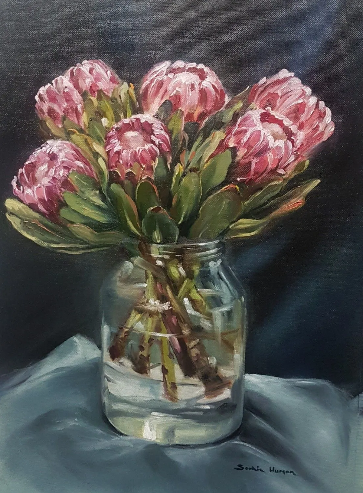 Protea in glass bottle, artwork by soekie human