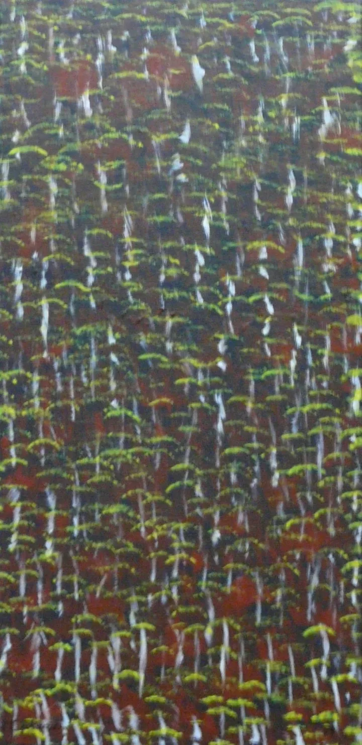 "Floresta", œuvre de Margarida Maria