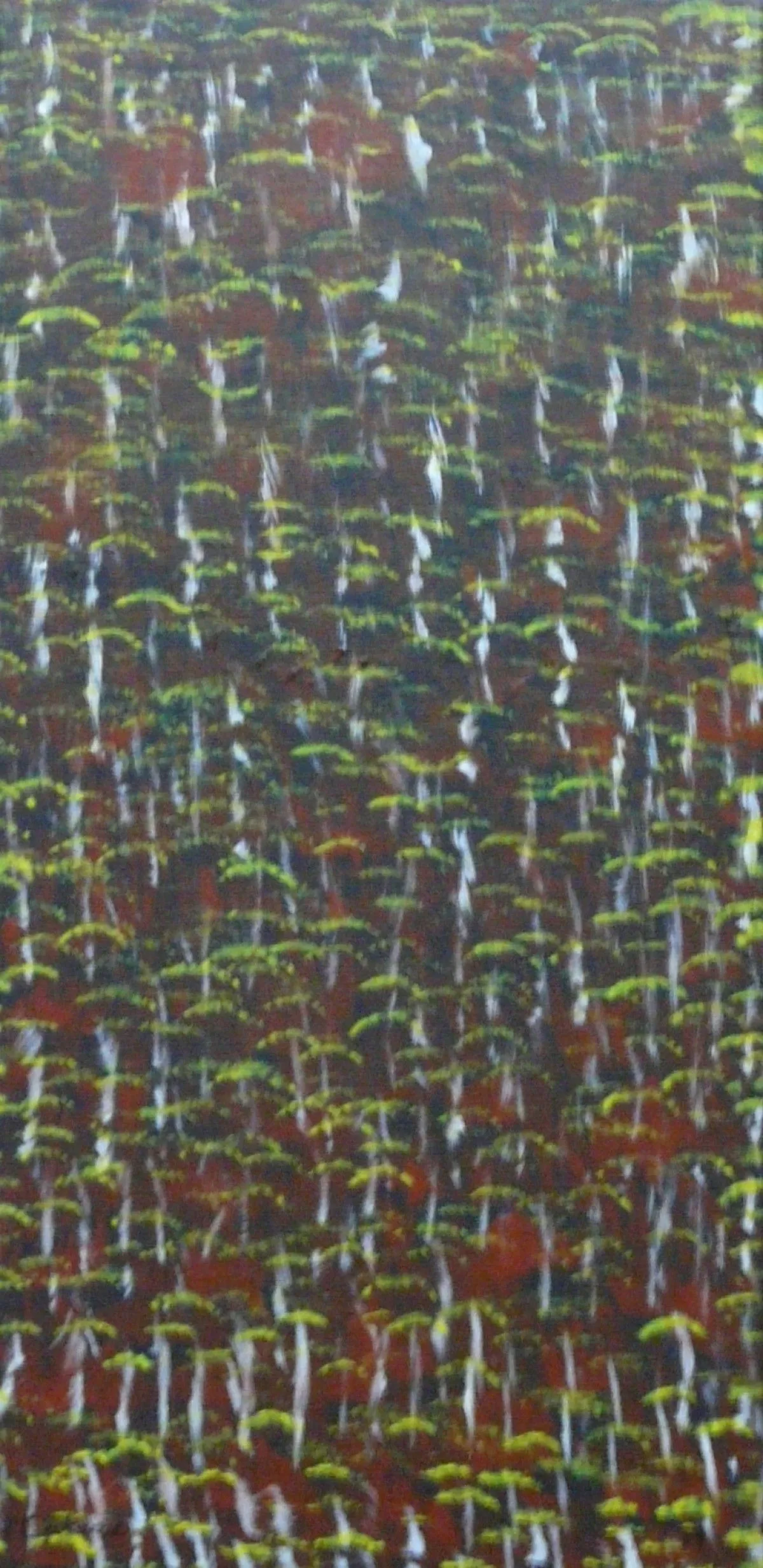 "Floresta", artwork by Margarida Maria