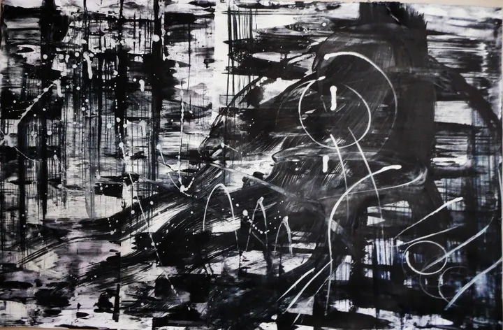 Spontaneous black and white series, œuvre de lilian cavero