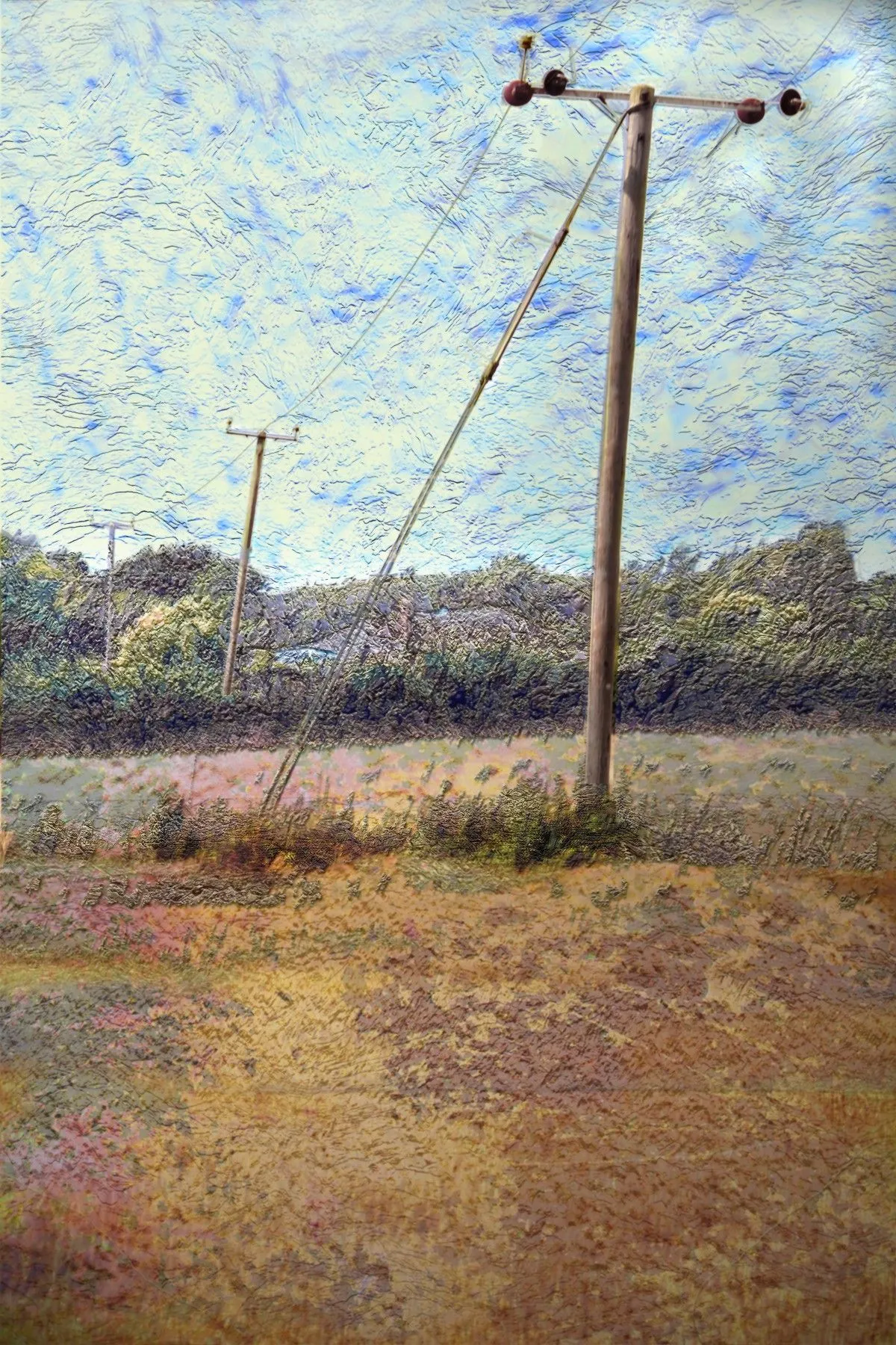Telegraph pole, œuvre de gary schofield