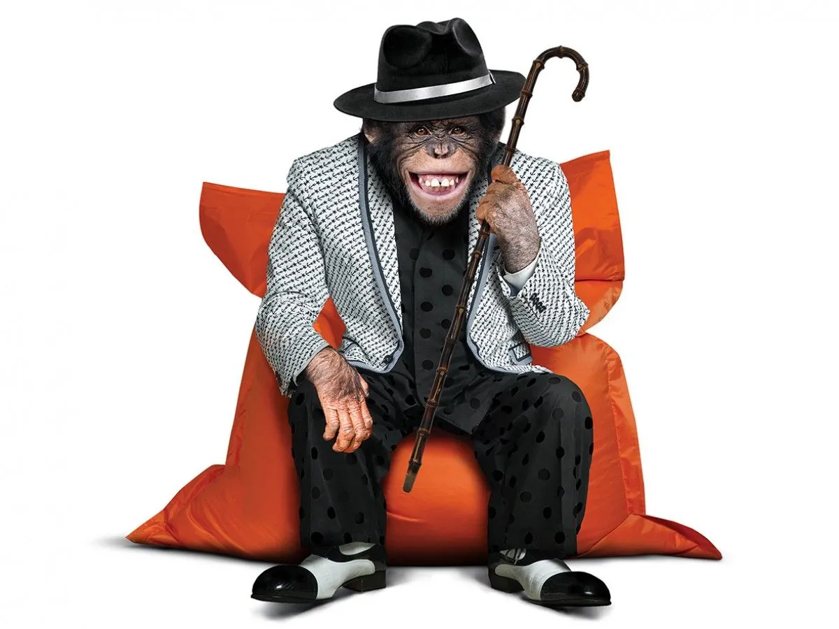 Lucky monkey in jacket and hat set in bean bag, artwork by Anatolii TOMOIANU
