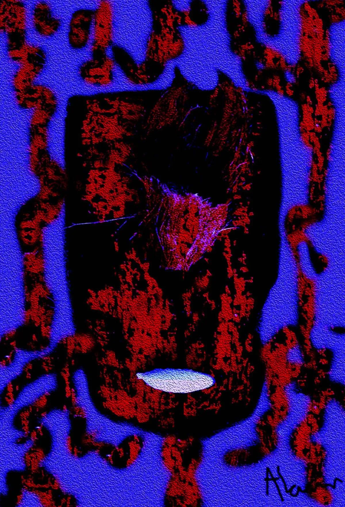 THE GROPER CANDIDATE, œuvre de Alann De Vuyst