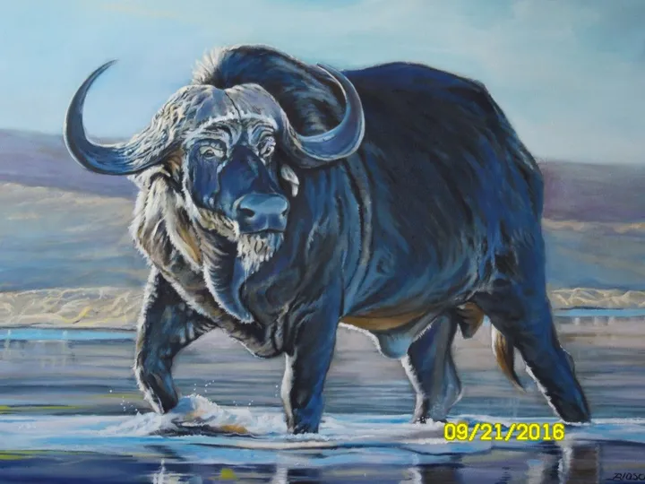 Buffalo, œuvre de Pierre-Yves Blasco
