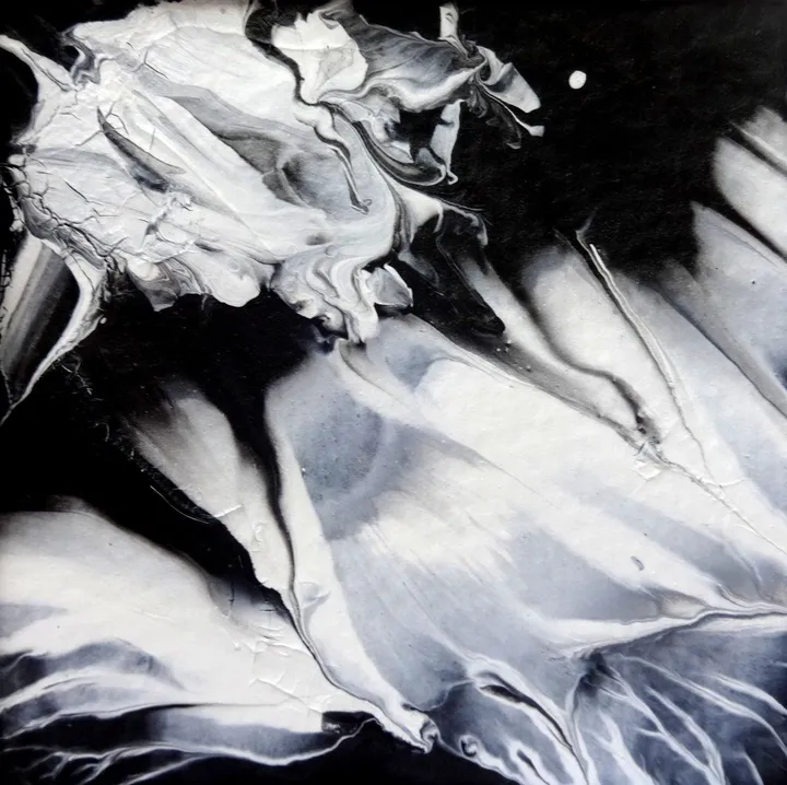Black and White #2, œuvre de fred wilson 3