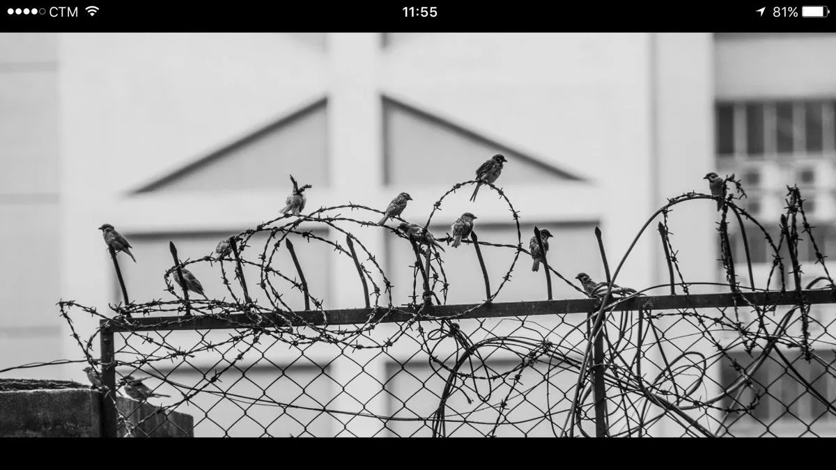 Inmates, artwork by José Das Neves