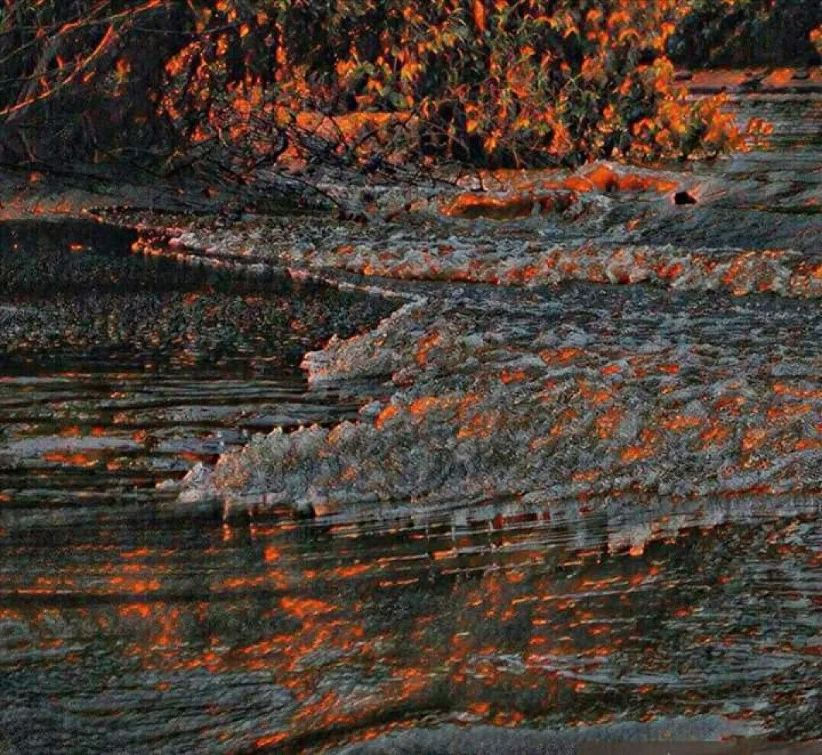 Costas del paraíso., œuvre de Adolfo Constenla