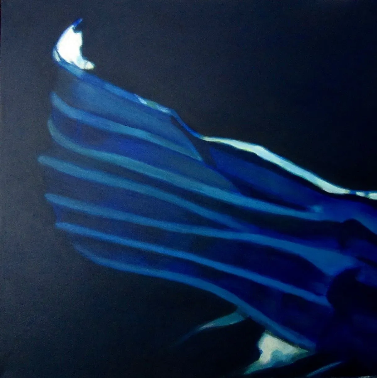 Tôle Ondulée #2, artwork by Michel Robidas