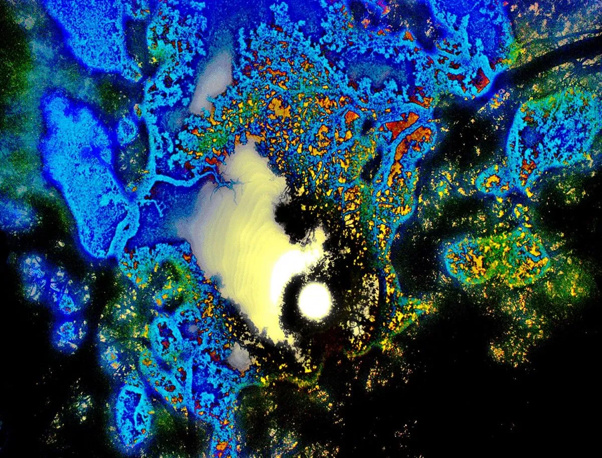 Napa #29, œuvre de Craig Scoffone