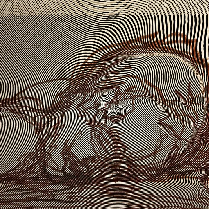 dream3588, œuvre de Fausto Cantu