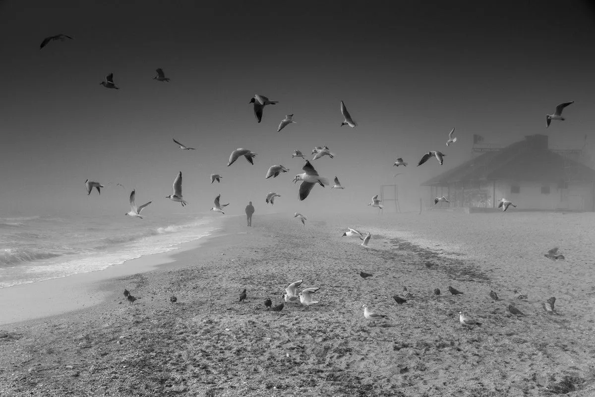 The misty seashore, artwork by Valeriy Bekeshko