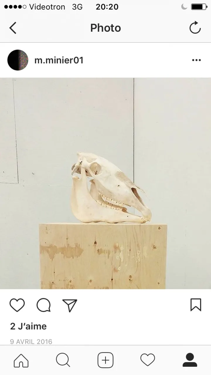 Hors-Zone, œuvre de marilyne minier