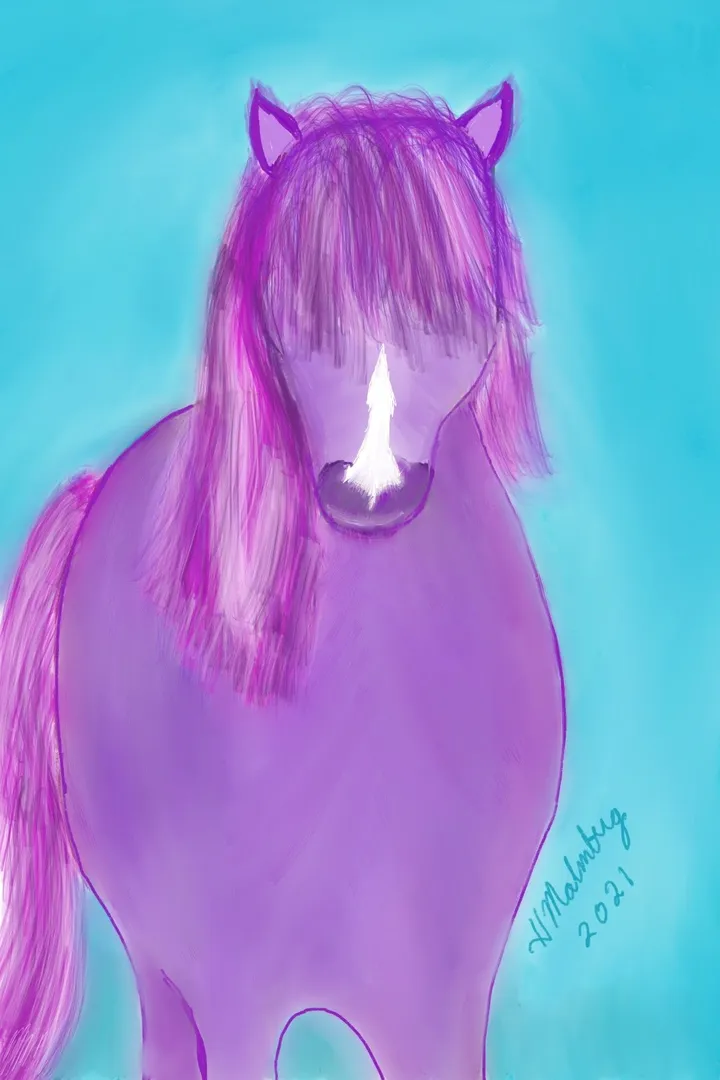 Icelandic Horse, artwork by Pete Malmberg