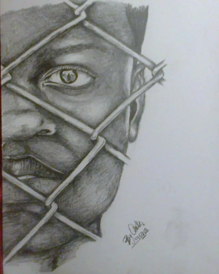 Looking through the Fence, œuvre de Olwethu Gcolotela