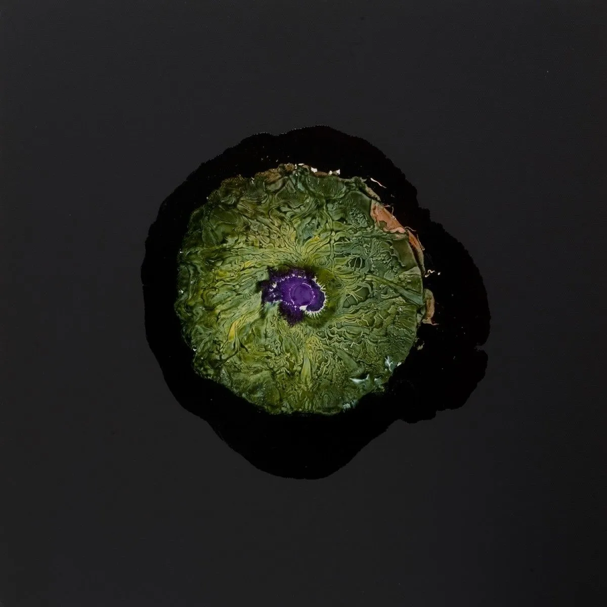 "ABYSSAL MONSTER#004#", artwork by MARIO FOIS