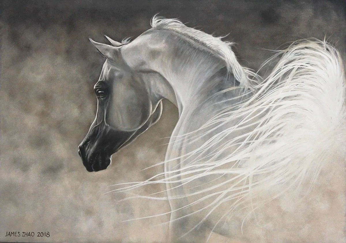 The Angel in White, œuvre de James Zhao