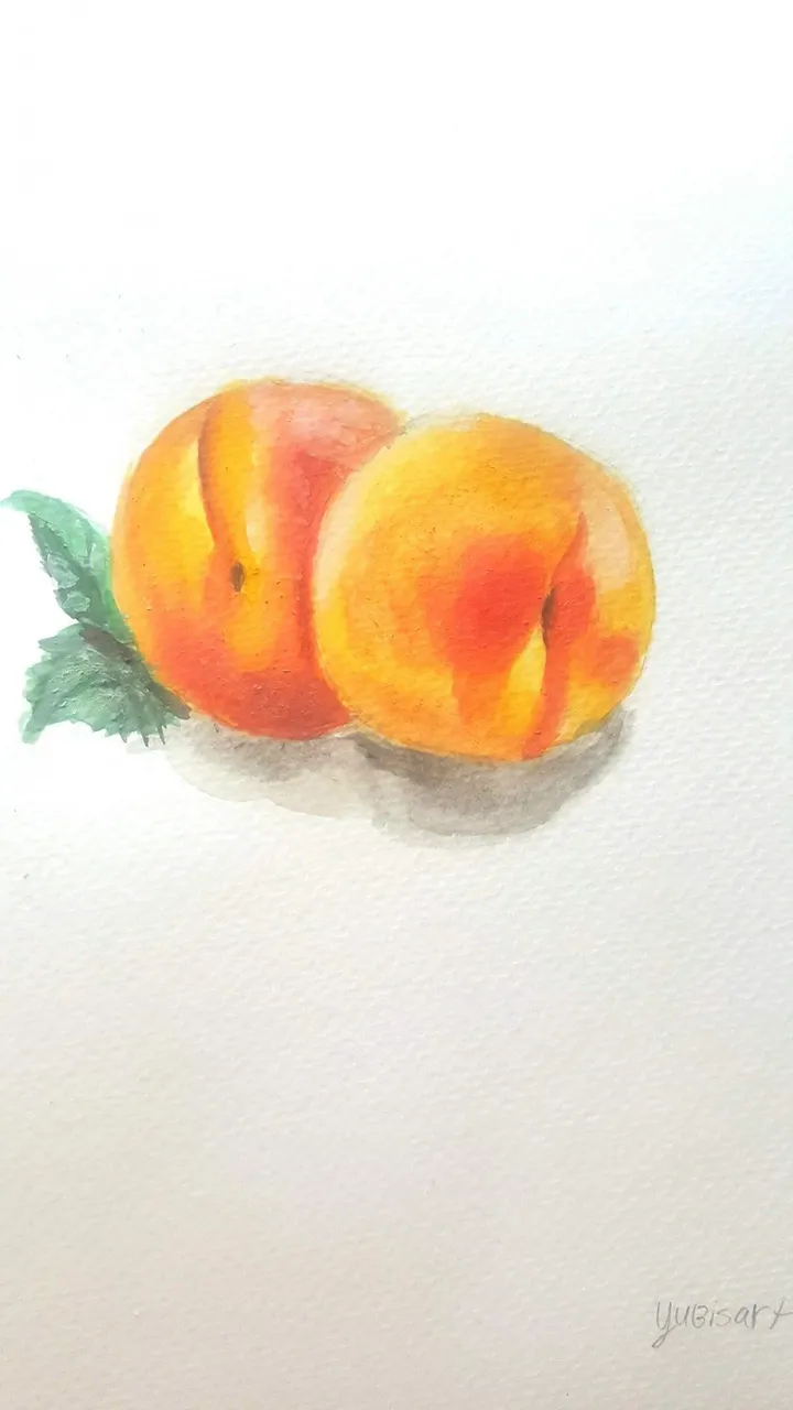 peaches made with watercolor, œuvre de yubirna paulino