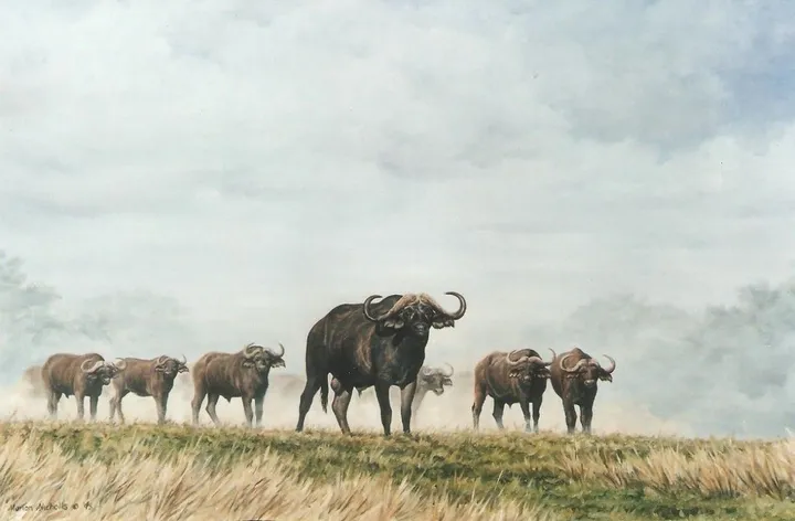 Buffalo herd, œuvre de Marion Nicholls