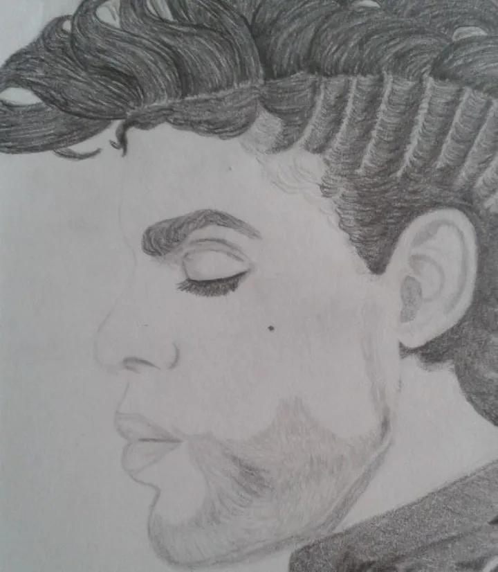 Prince, œuvre de Amanda Panda