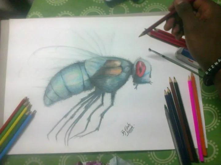 Fly, œuvre de Olwethu Gcolotela