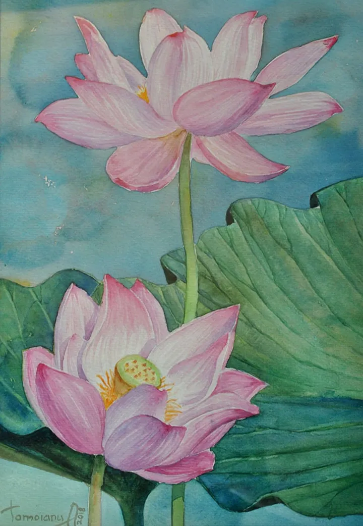 Two flowers lotus and green leaves, œuvre de Anatolii TOMOIANU