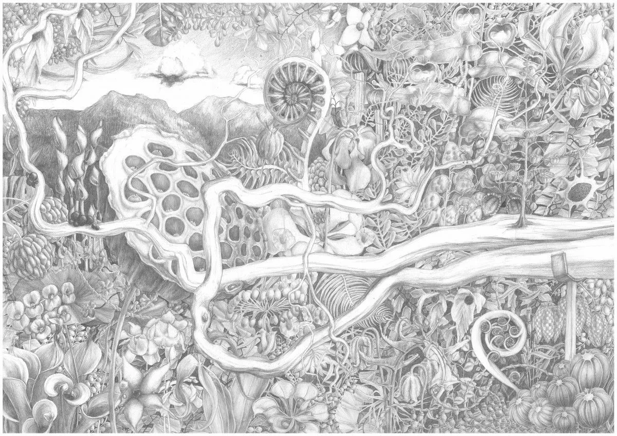 Biodiversity, artwork by szi ly