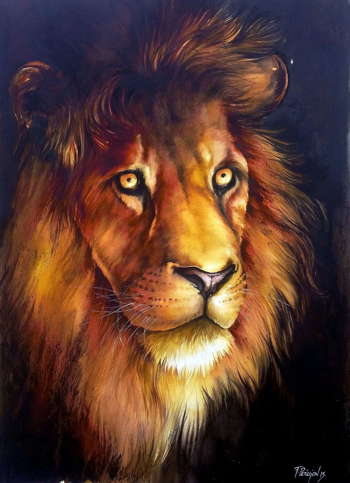 The last king, œuvre de fabien Petillion