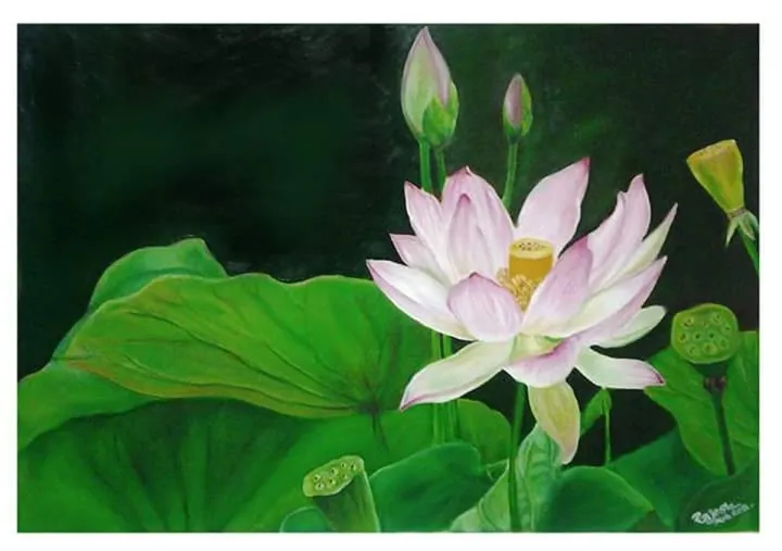 Lotus, œuvre de Rajesh Kumar