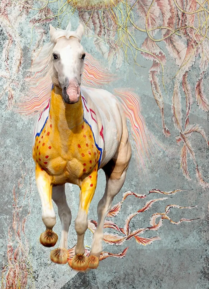 Indian white horse, artwork by Albena Alta