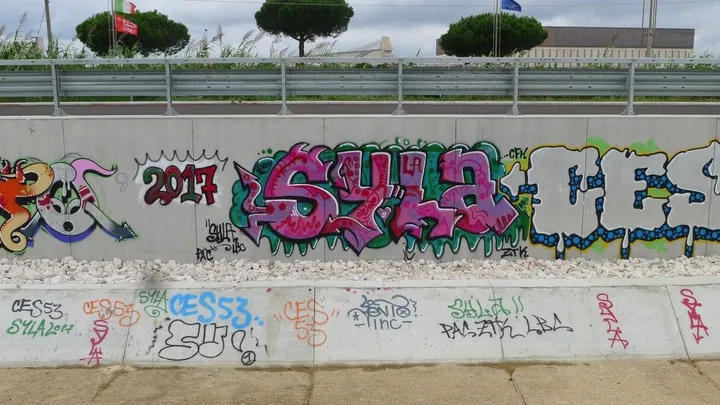 syla, œuvre de david busby