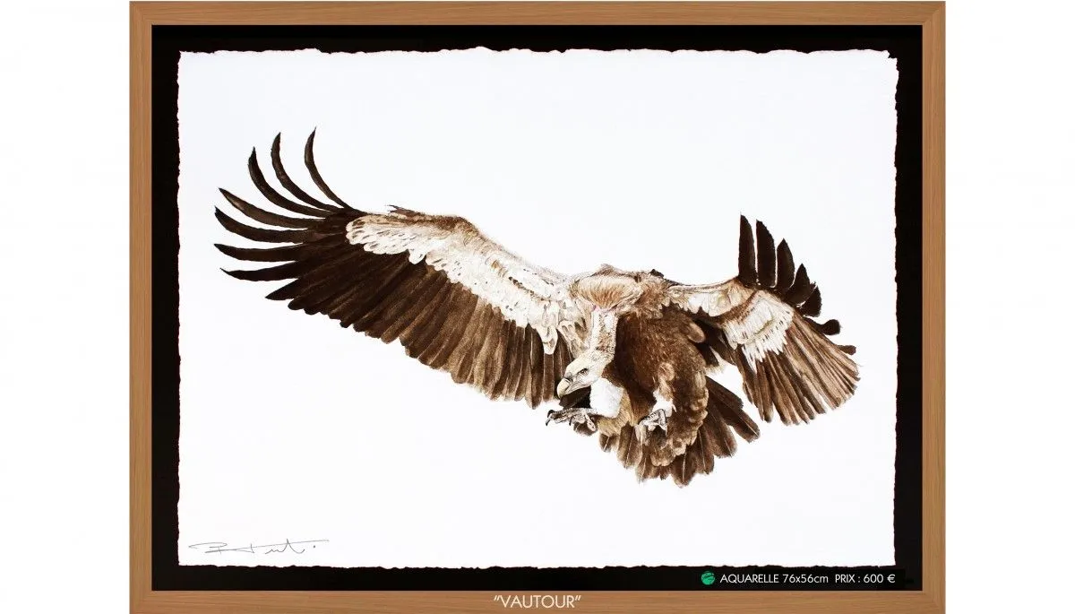 VAUTOUR, artwork by Pierre Frutschi