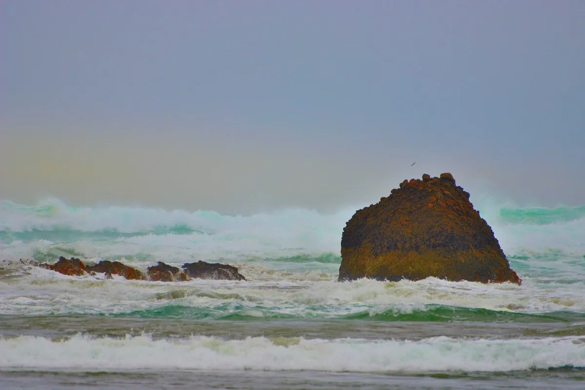 Rising Surf, œuvre de Greg Sandoval