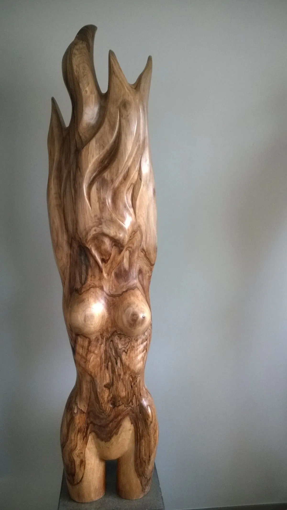 FIERY WOMAN, artwork by Jan Van Braekel