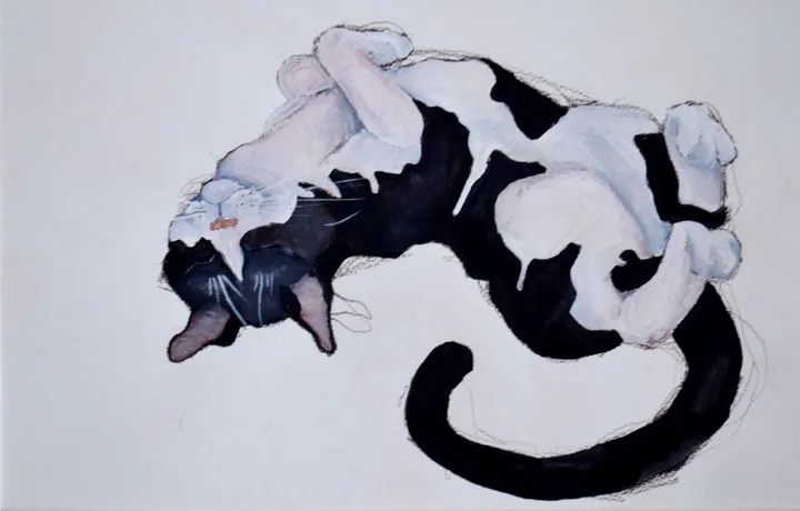 Margi(3), œuvre de Olimpia Mazzei