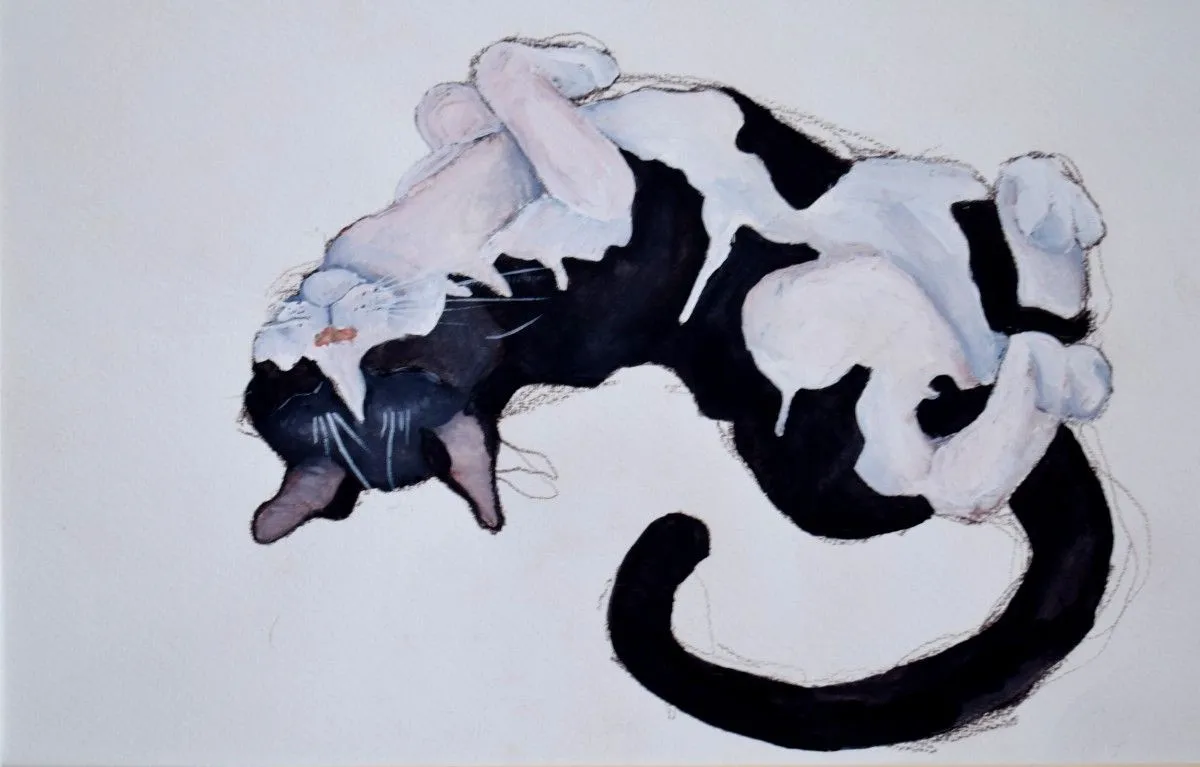 Margi(3), œuvre de Olimpia Mazzei
