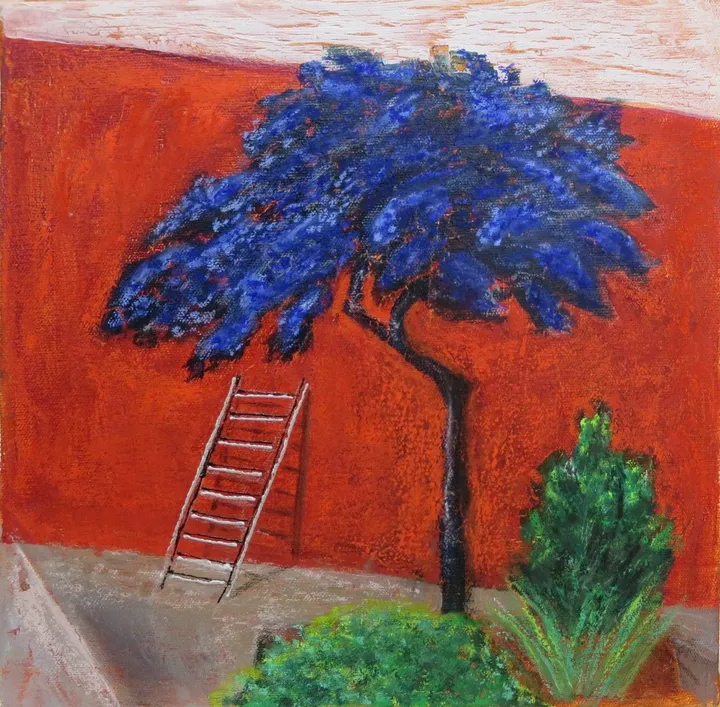 the ladder, œuvre de Alina Matsa