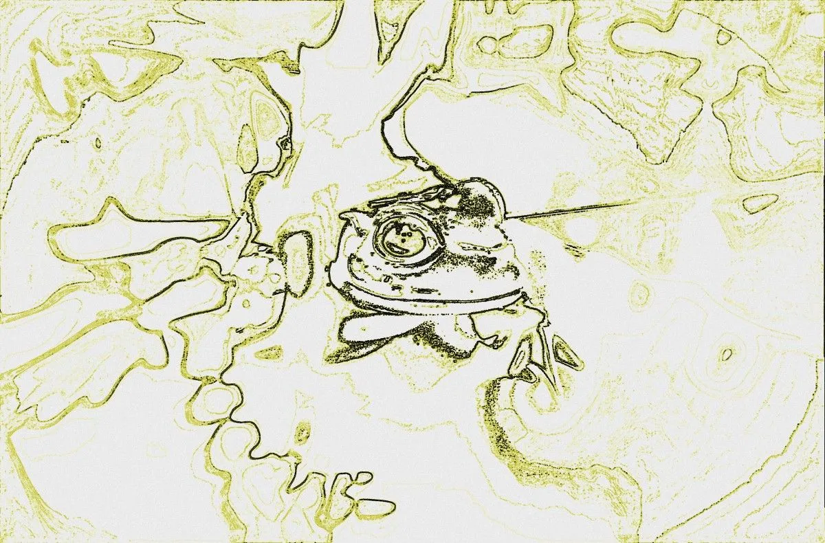 Dreams eliberation, œuvre de Emilia Radu
