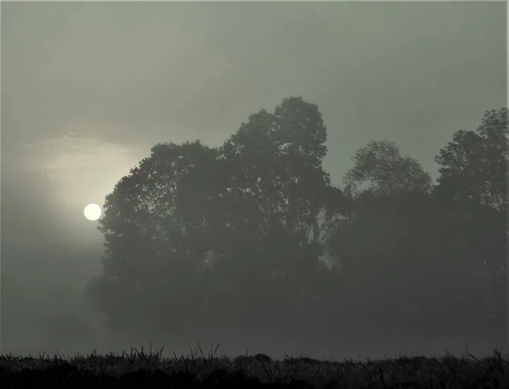7h30' A.M., œuvre de Julien Nalia
