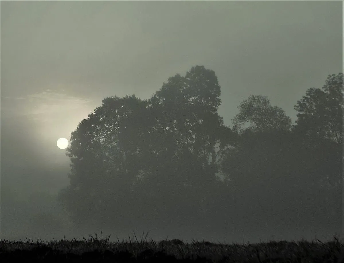 7h30' A.M., œuvre de Julien Nalia