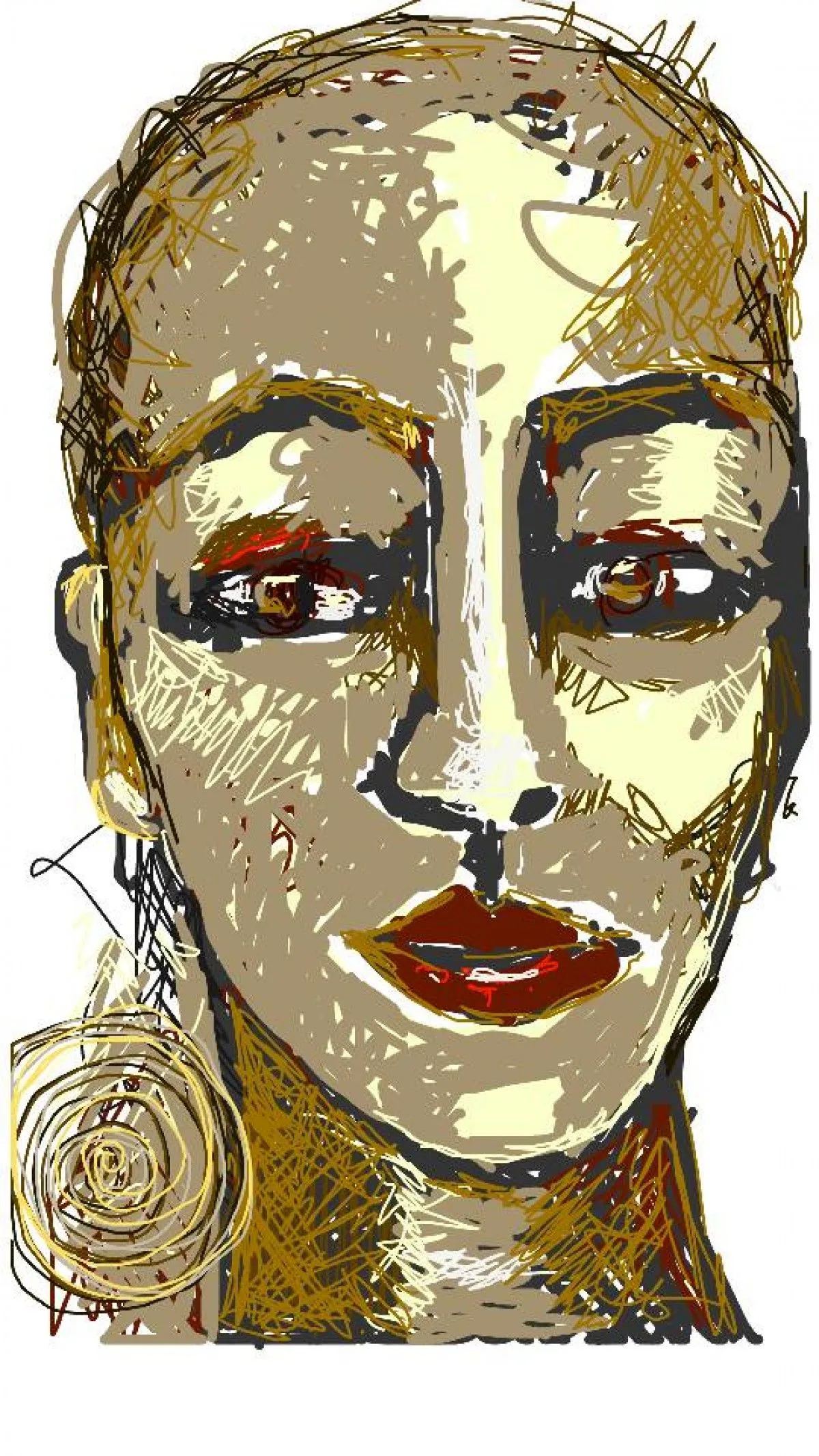 facescapes 1, œuvre de Sam vdWoudenDiedericks