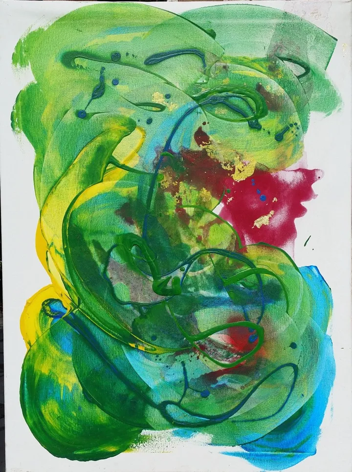 IMAGINAL, œuvre de Ani R