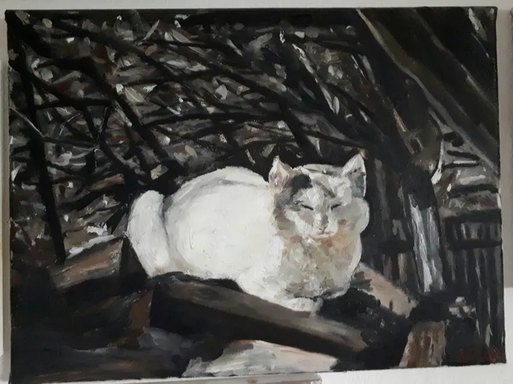 Cat, œuvre de VL VD