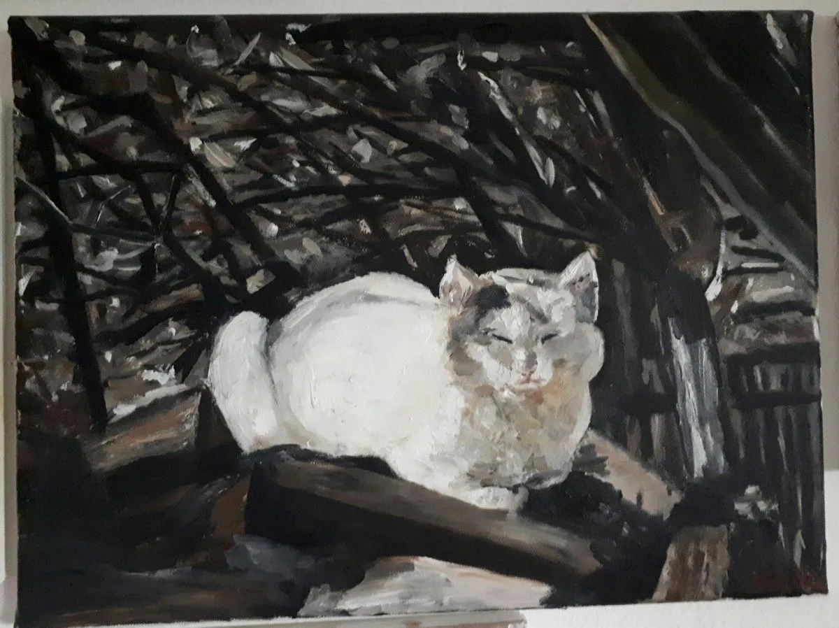 Cat, œuvre de VL VD