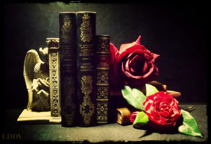 Demon & Roses, œuvre de Le Dormeur Du Vol
