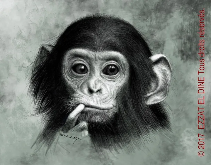 Bébé Chimp, artwork by Ezzat El Dine Abdulbaghi