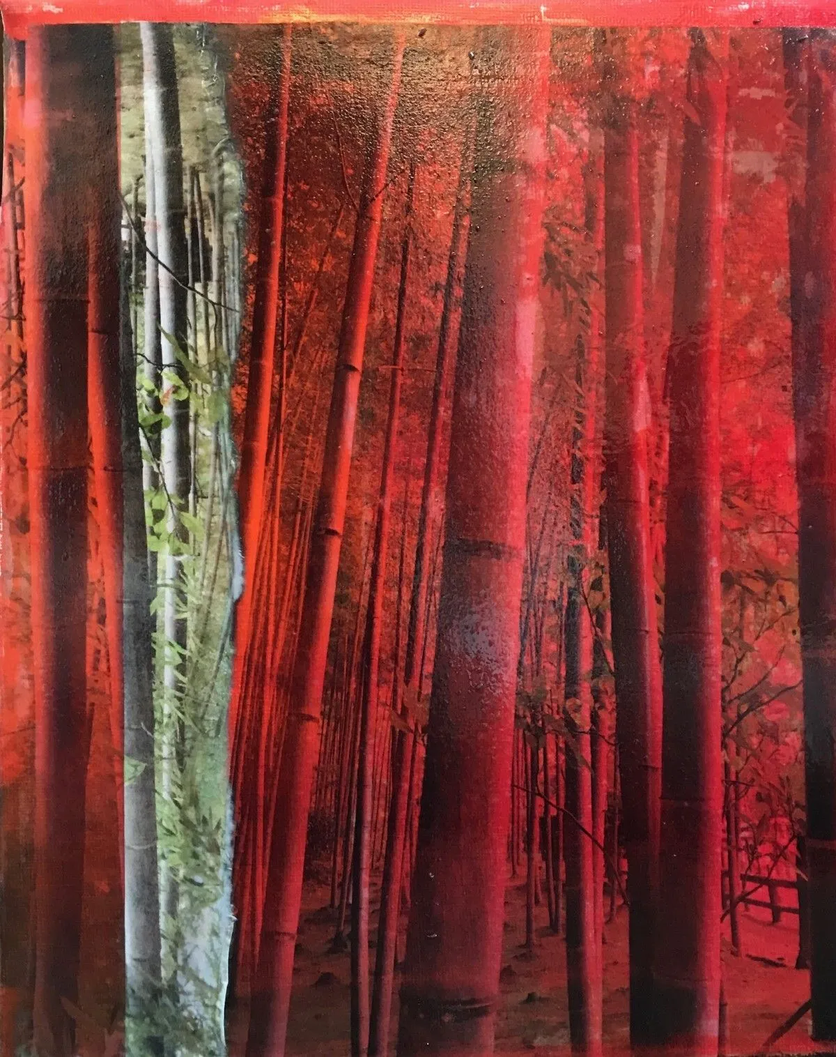 bamboo, œuvre de Laurence Rapaillerie