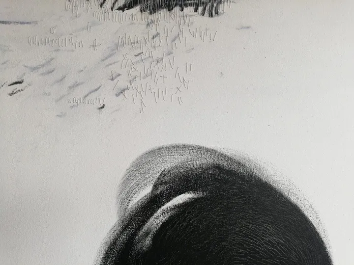 * Ombra mai fu *, œuvre de Mojca Senegacnik