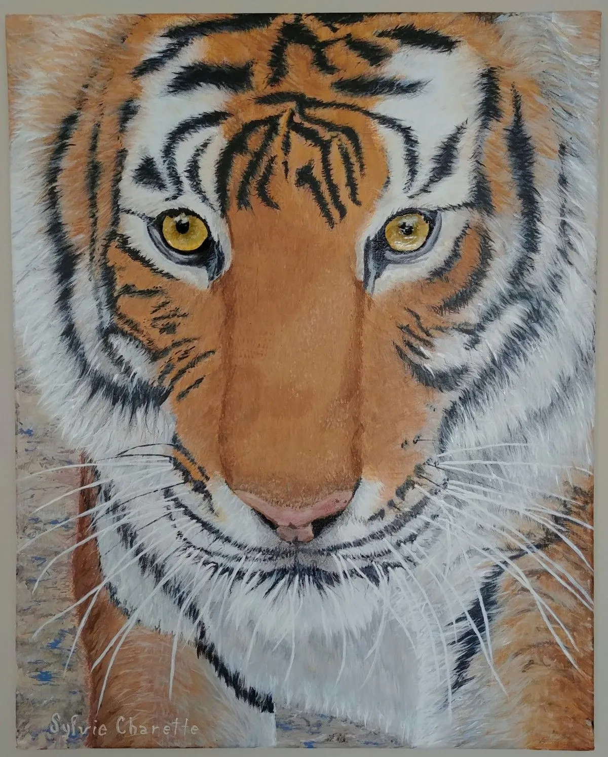 Le tigre ado enjoué, œuvre de Sylvie Charette