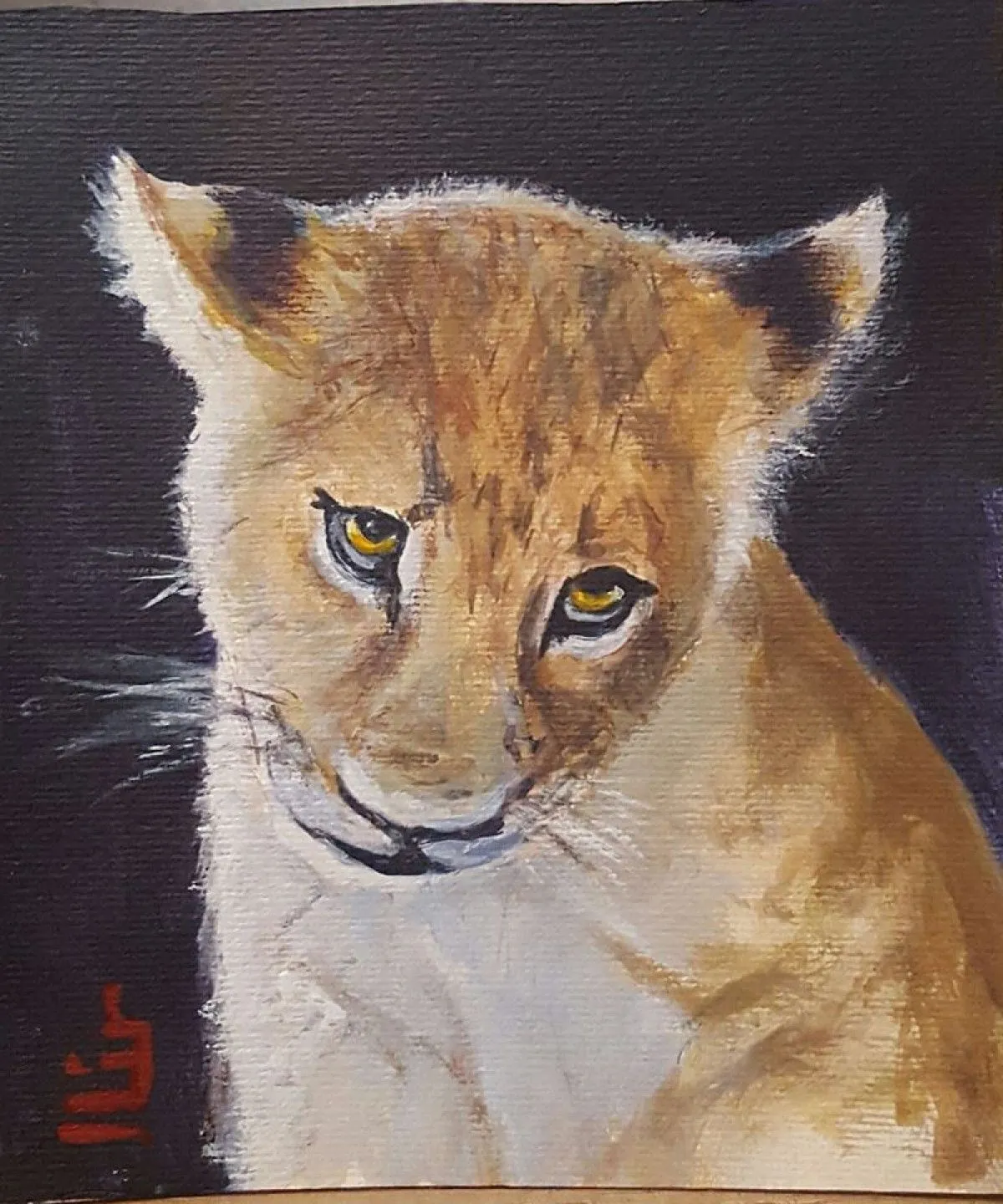 Lion cub, œuvre de Ilir Veseli