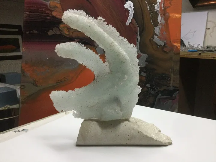 Coral, œuvre de Andrea Charalambides